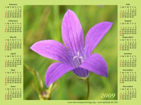 Printable Calendars
