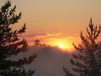 Photogallery
