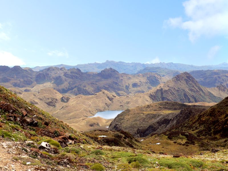 Andes