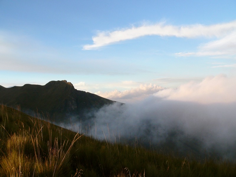 Andes