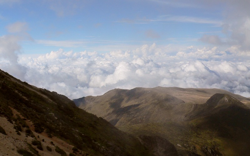 Andes