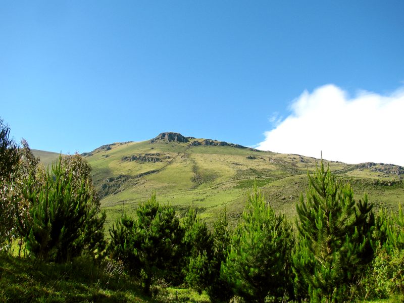Andes