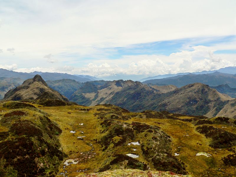 Andes