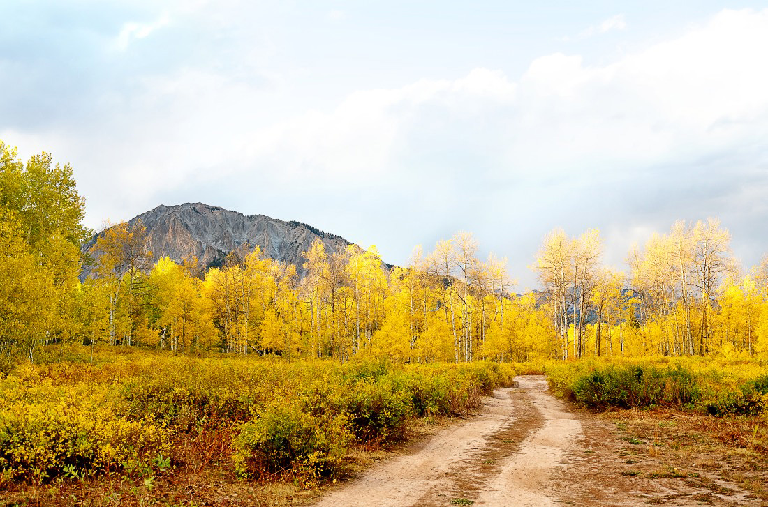 Goldener Herbst
