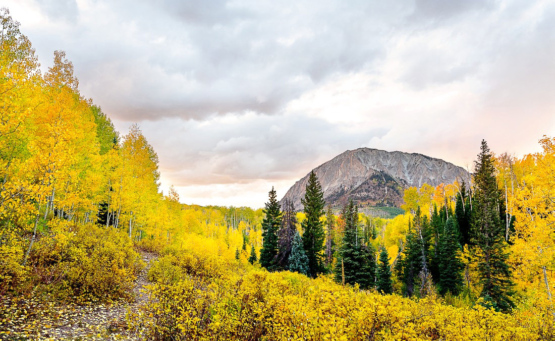 Autumn in Colorado