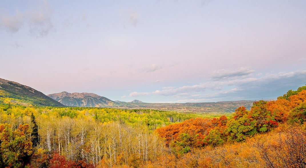 Autumn in Colorado