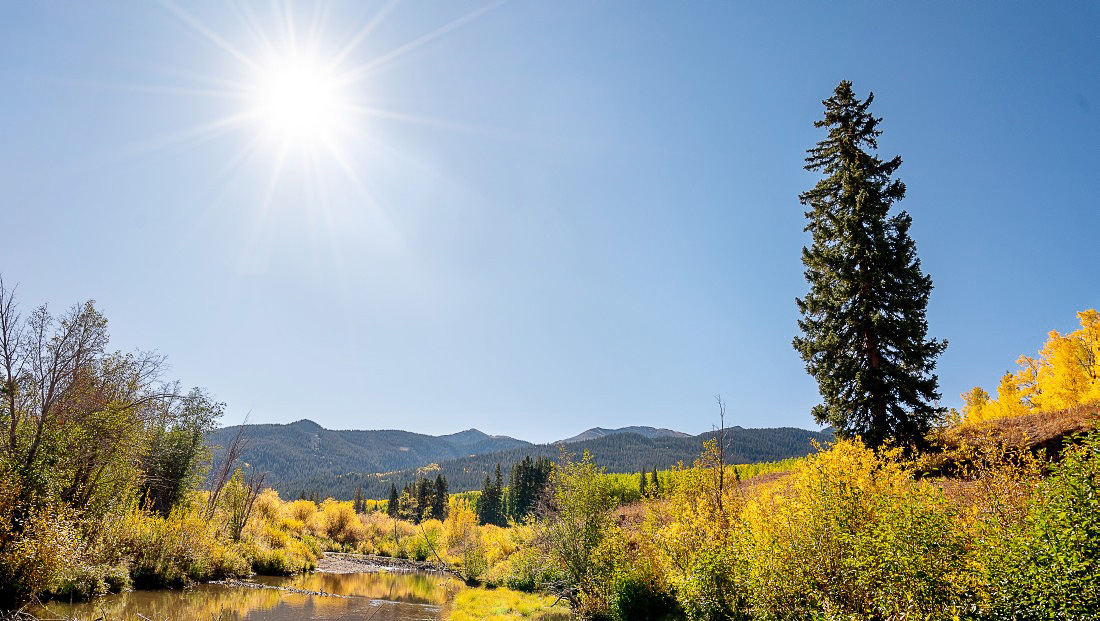 Autumn in Colorado