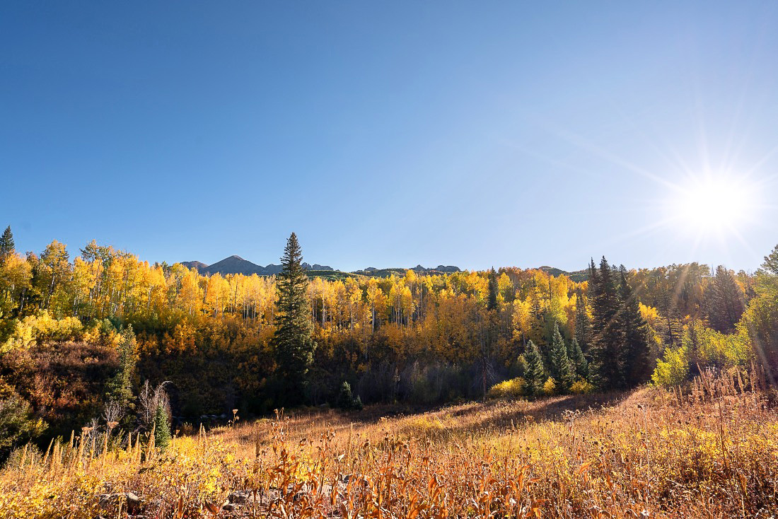 Autumn in Colorado