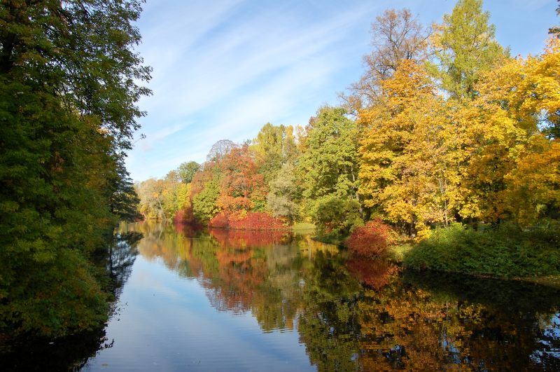 Golden Autumn