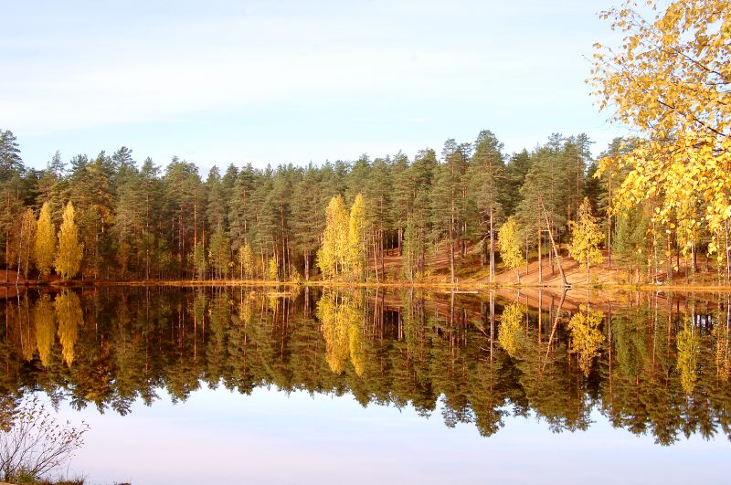 Golden Autumn