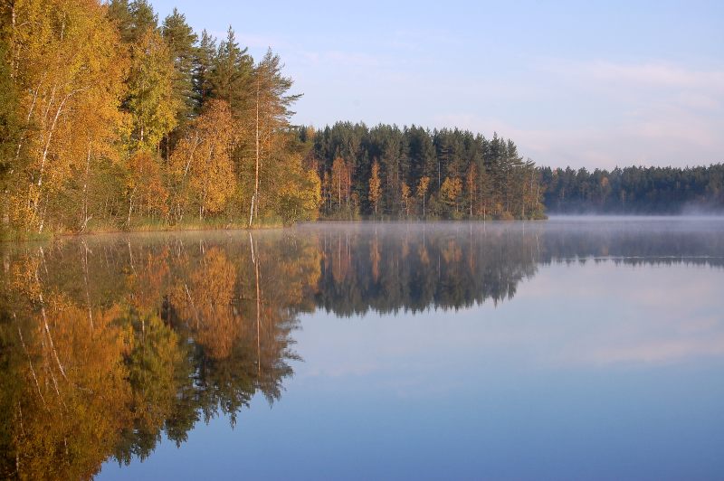 Golden Autumn