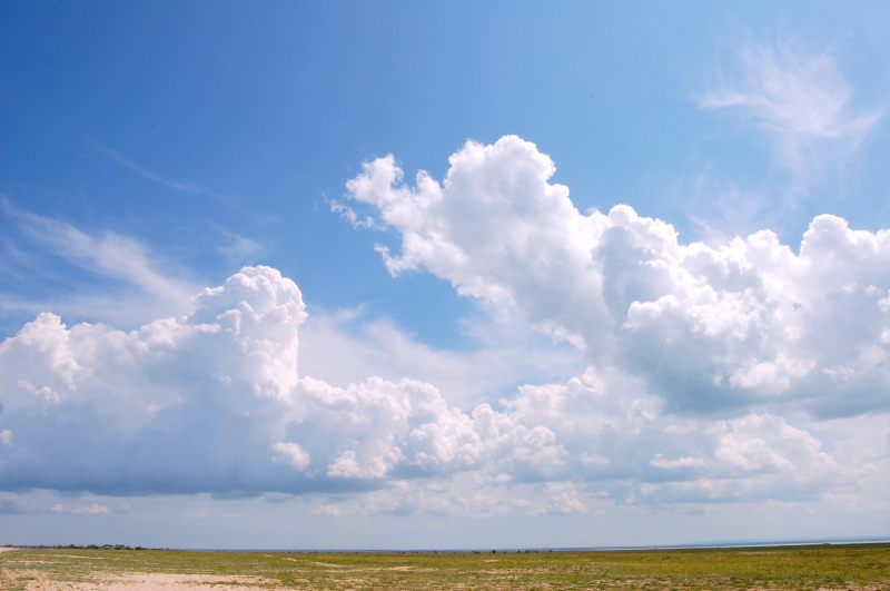 Expanse