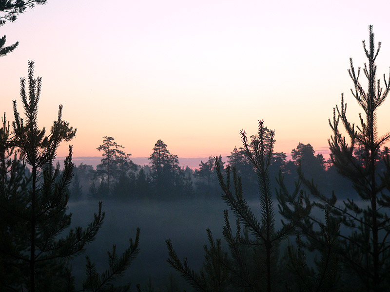 Harmony of morning