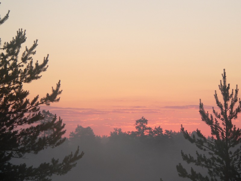 Harmony of morning