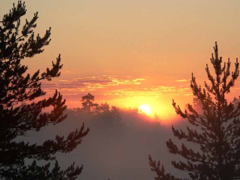 Harmony of morning
