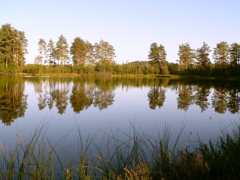 In the evening at lake