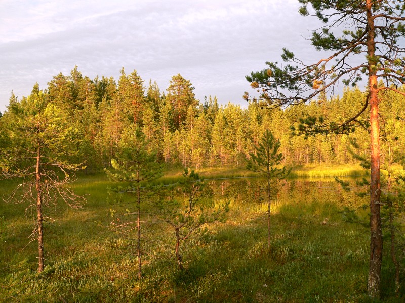 In the evening at lake