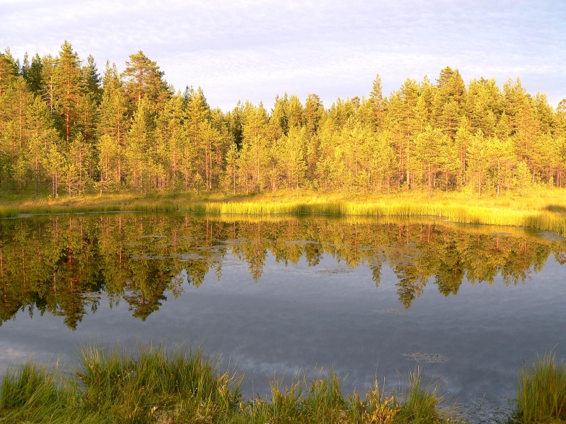 In the evening at lake