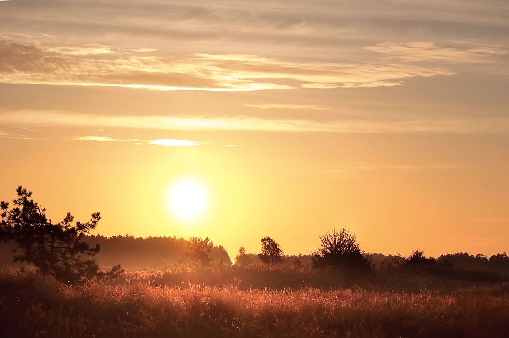 Magic of morning
