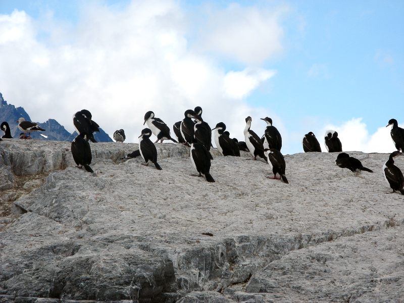 Tierra del Fuego