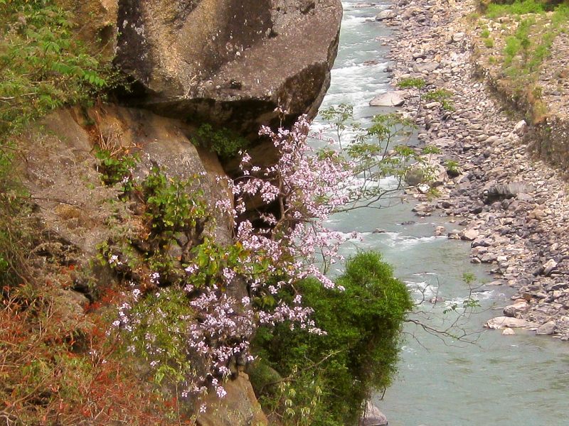 Ganges (India)