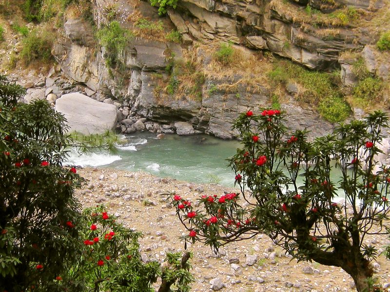 Ganges (India)