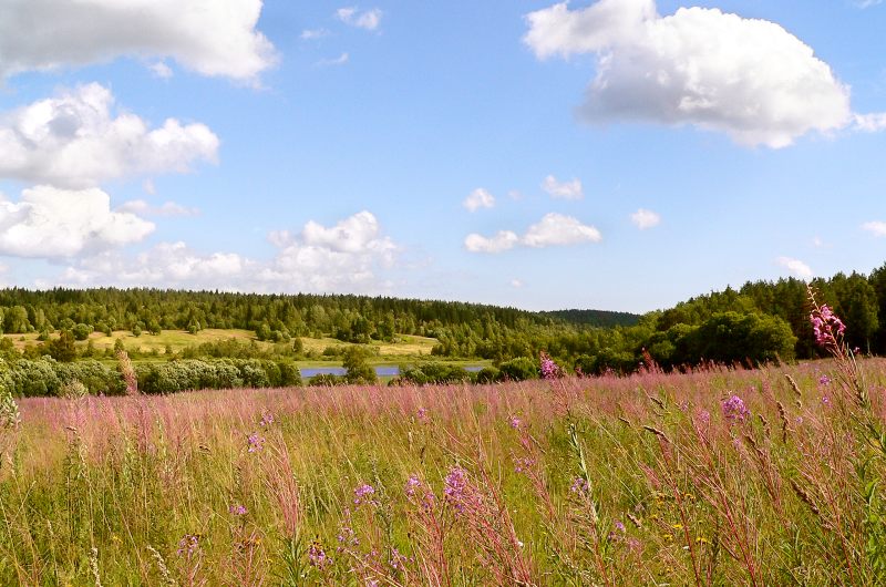 Karelian Isthmus