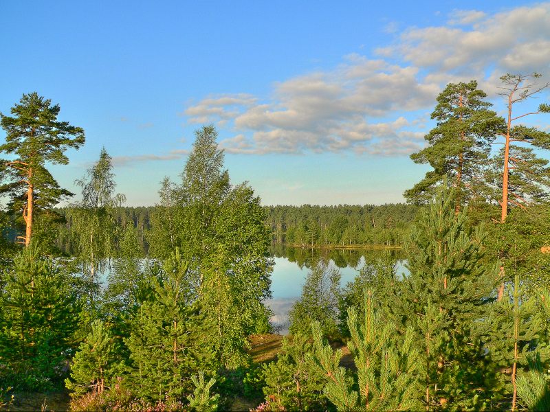 Karelian Isthmus
