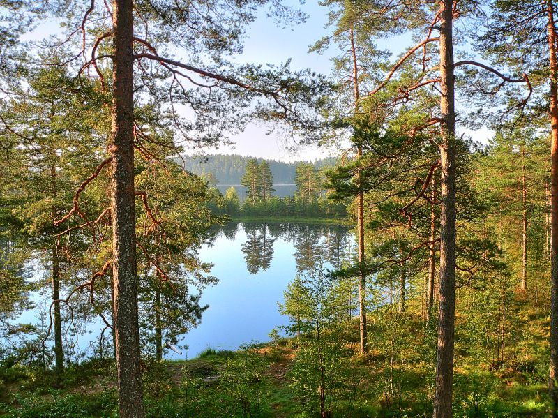 Karelian Isthmus