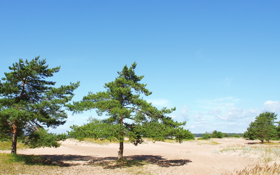 Karelian Isthmus