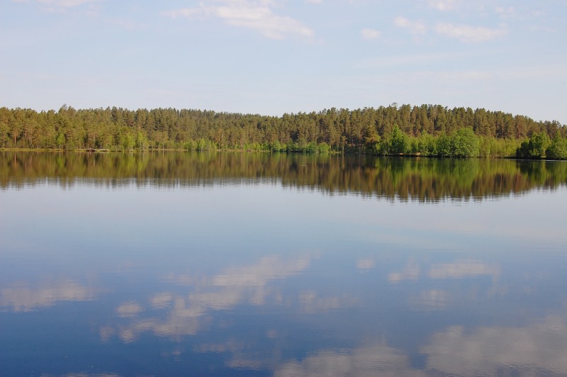 Sattva of Summer