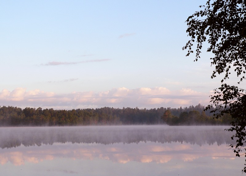 Harmony of morning
