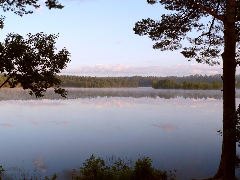 Harmony of morning