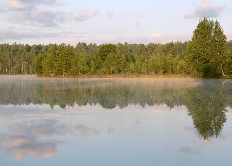 Harmony of morning
