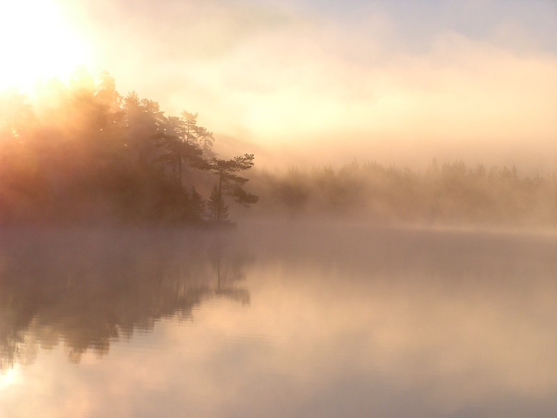 Magic of morning