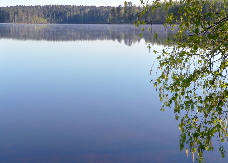 Harmony of morning