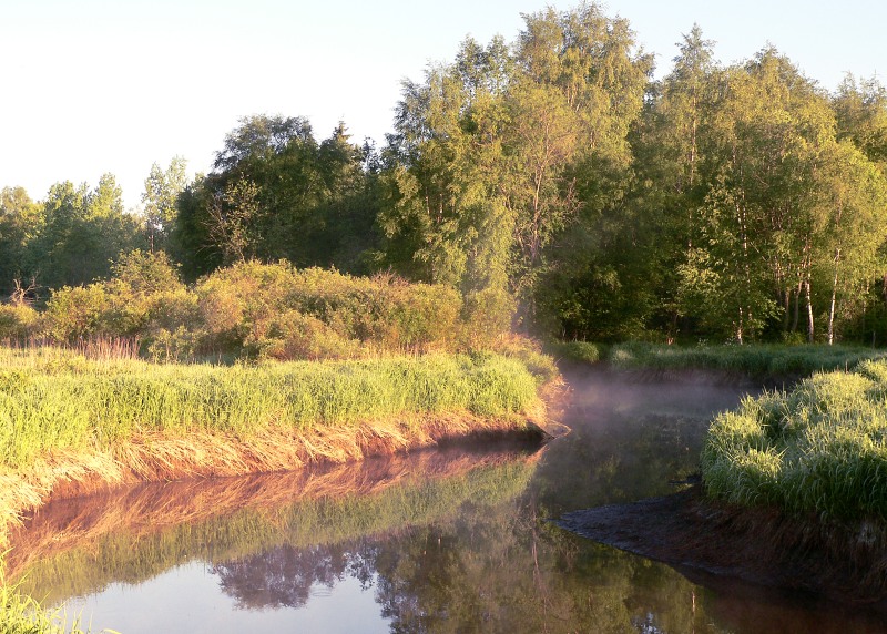 Harmony of morning