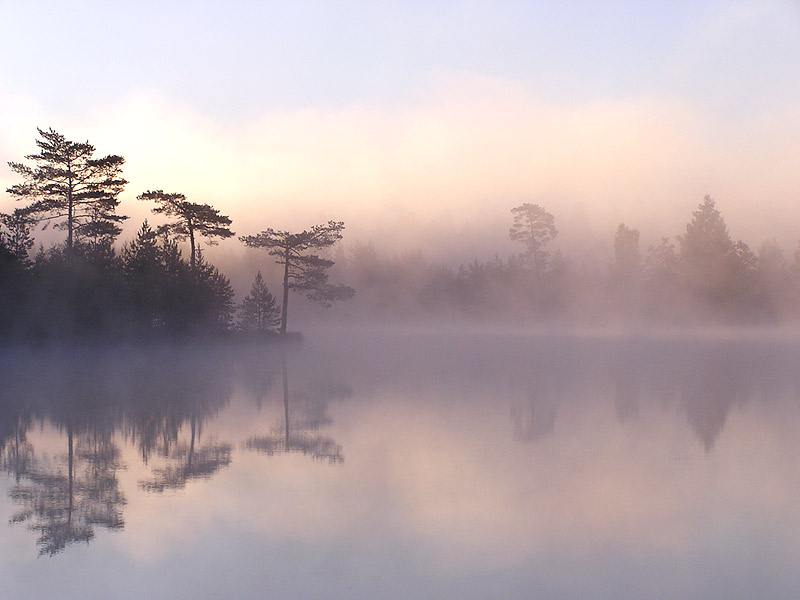 Harmony of morning