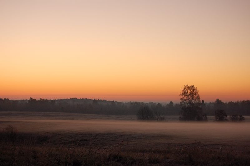 Magic of morning