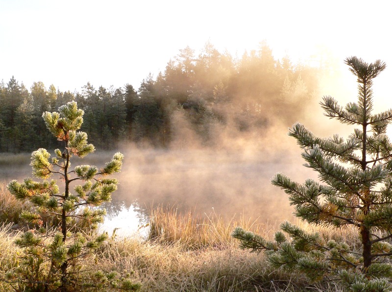 Magic of morning