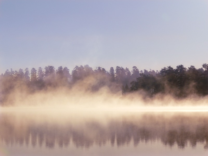 Harmony of morning