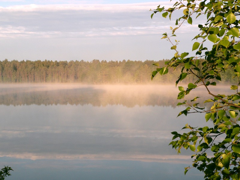 Harmony of morning