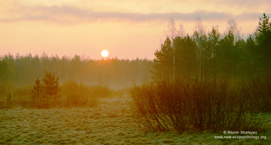 Magic of morning