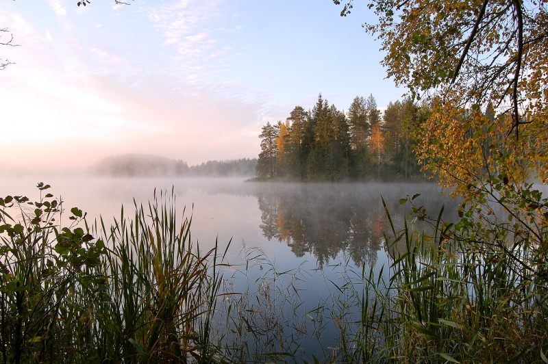 Magic of morning