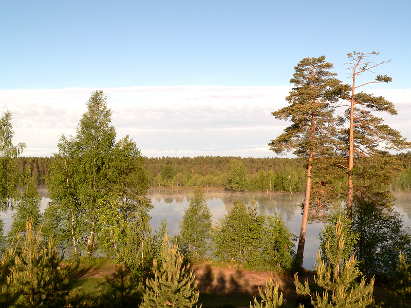 Harmony of morning