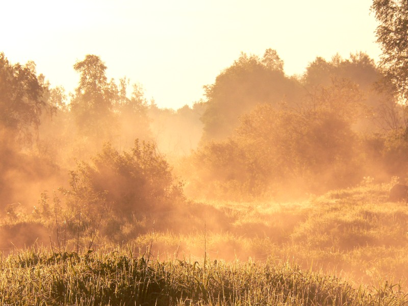 Magic of morning