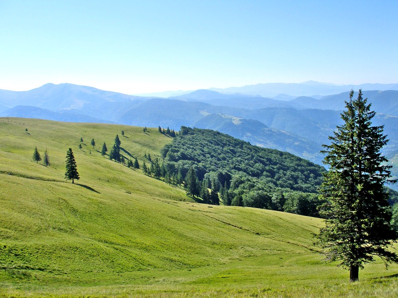 Expanse over the mountains