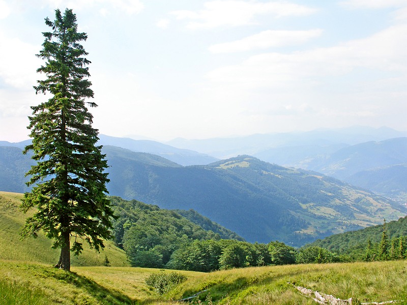 Expanse over the mountains