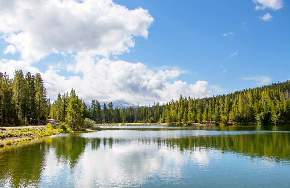 Sawmill Reservoir