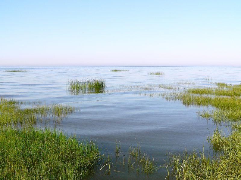 Sea expanse